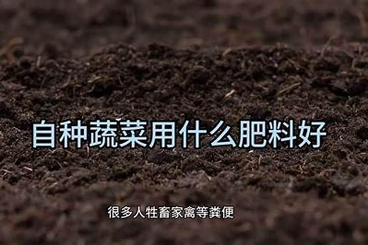 自家小菜园用什么肥料好