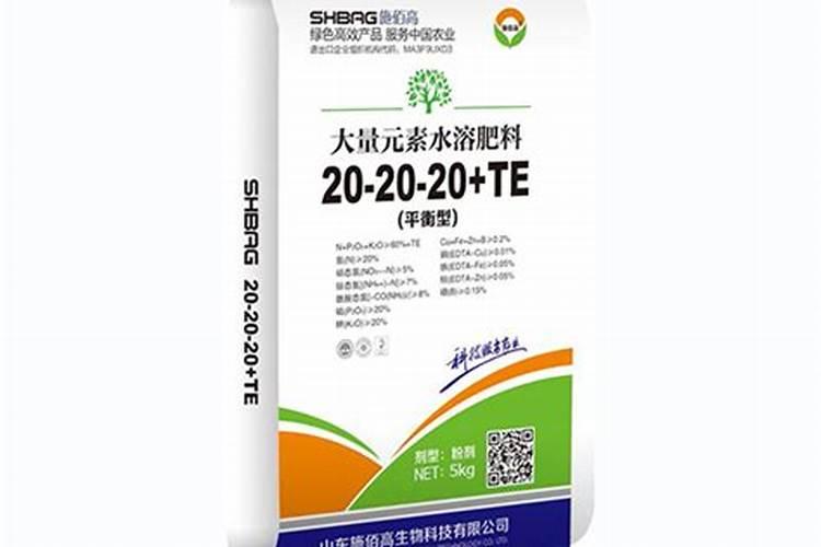 什么地方比较适合种橘子