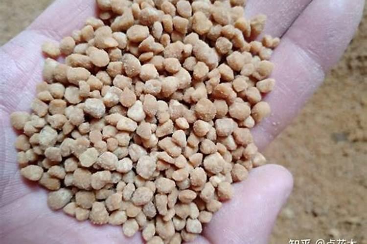 用黄豆做肥料需要煮熟吗