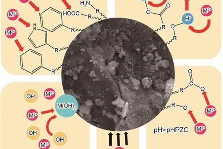 早熟苹果几月份施肥最好？