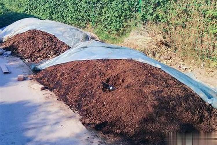 怎么减少有机肥臭味