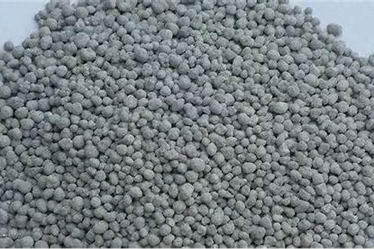 桑葚树怎么浇水