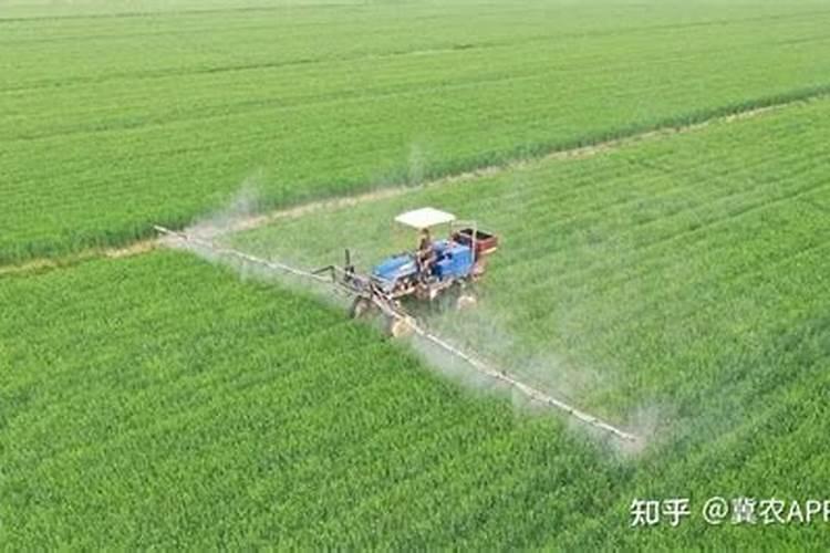 水溶肥料是什么原料做的 水溶肥原料等级划分