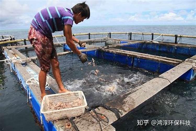 碳酸氢铵在水产中作用？