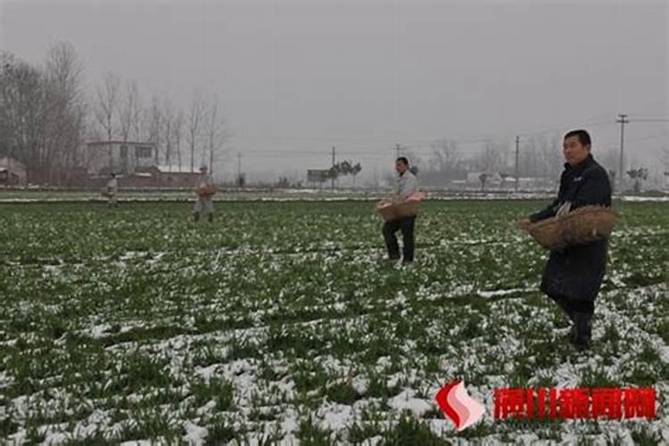 水溶肥中的钾肥是什么原料