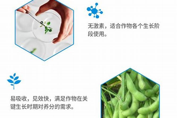 根基堡混合海藻氨基酸水溶肥怎么样