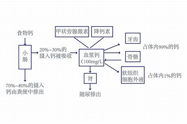一般施肥多少天能吸收