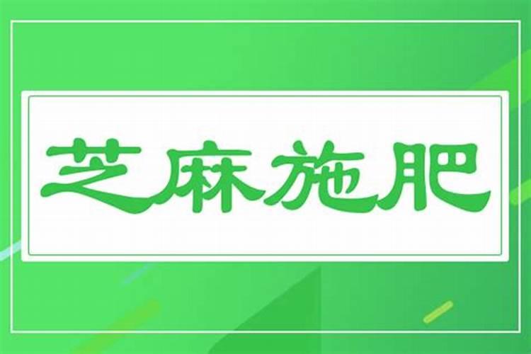 芝麻施什么肥料最好
