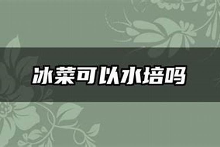 冰草种植技术