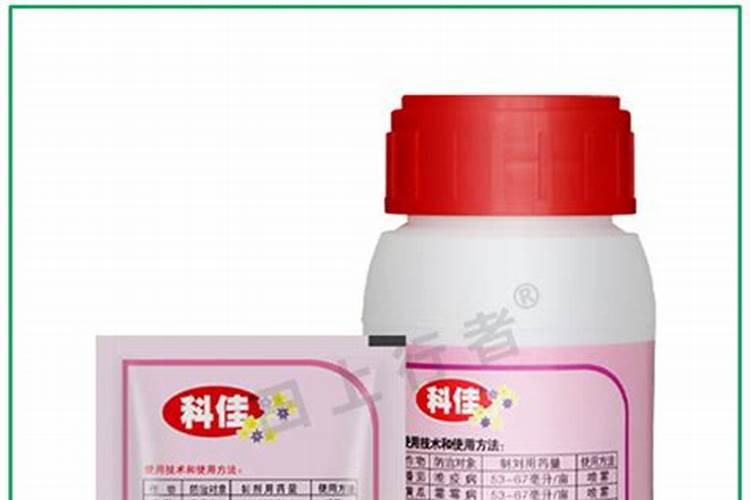 蟹爪兰用叶面肥喷施能行吗 裸根蟹爪兰怎么栽种