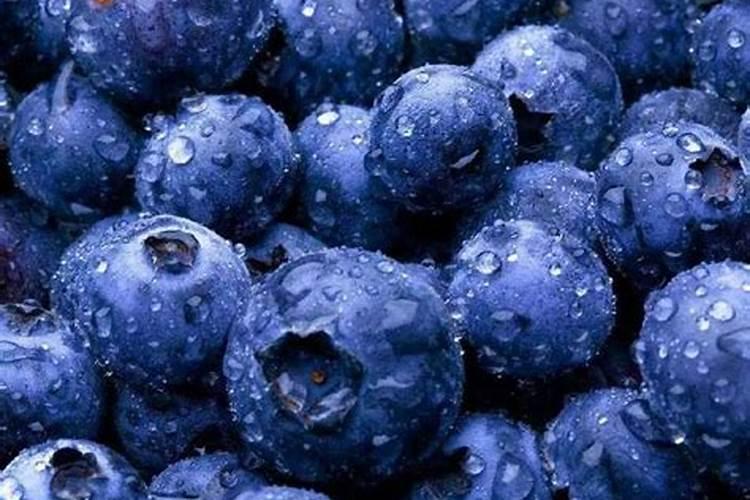 花多多十大品牌