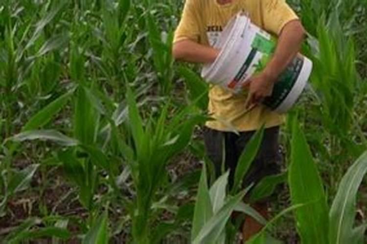 怎么识别真假硫酸钾