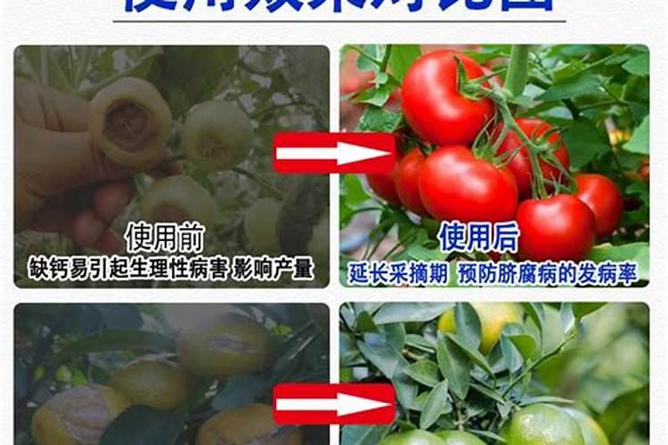 水溶肥怎么知道是硫酸钾还是硝酸钾