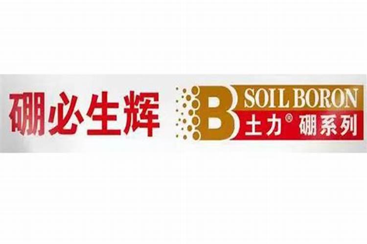 茶花用什么水浇最合适