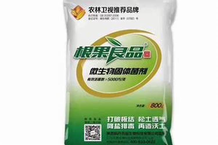 黄瓜养好根系的秘诀