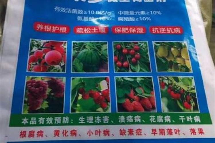 橘子叶子发黄～干枯～脱落是怎么回事？