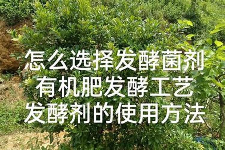 罗布泊大片的蓝色区域是什么？