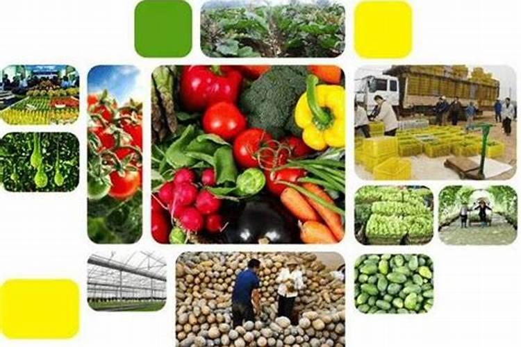 草坪杀菌剂(植大壮)的害处