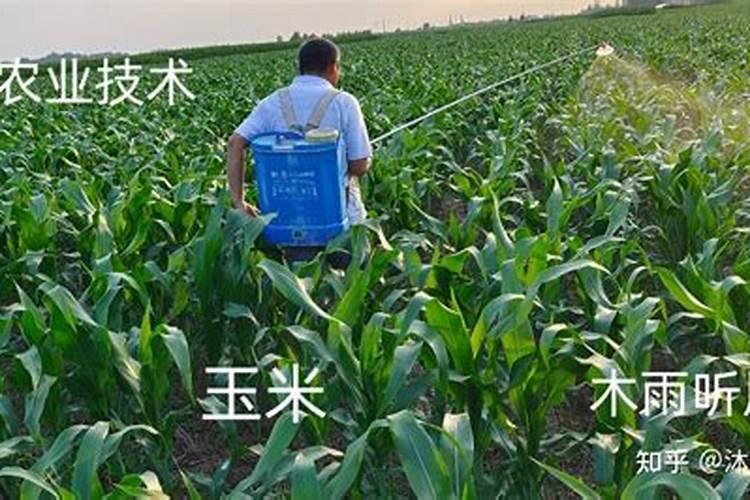 矿源黄腐酸钾的混施禁忌 黄腐酸钾是什么东西