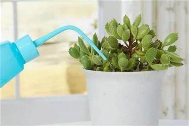 中国水溶肥的前十名 中国十大水溶肥排名