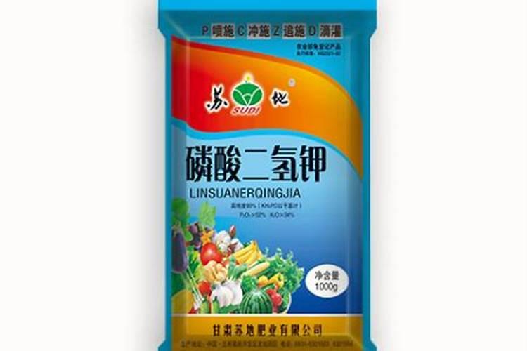 黄瓜移栽后几天浇缓苗水