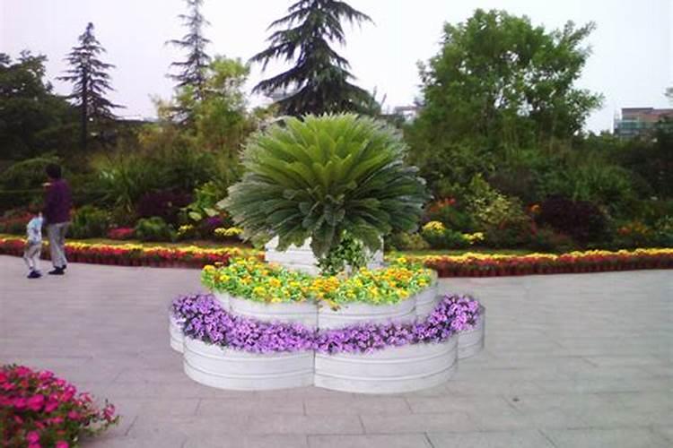 怎样才能使花坛里的草花开得整齐:另设花圃专门培养