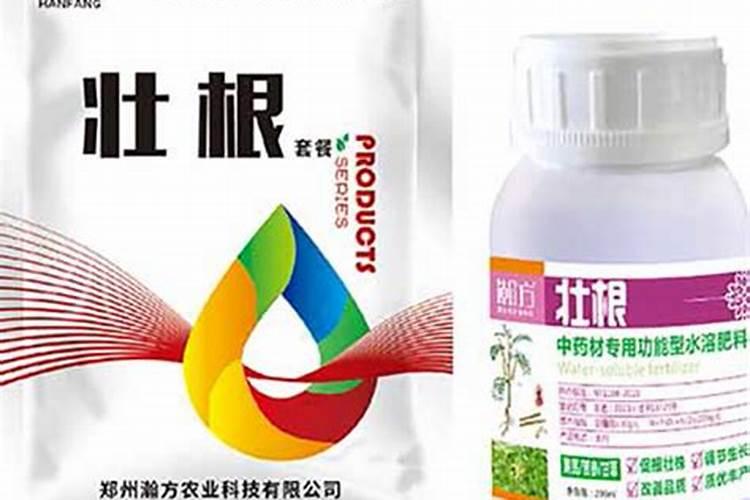 怎样种植黄芪才能高产？