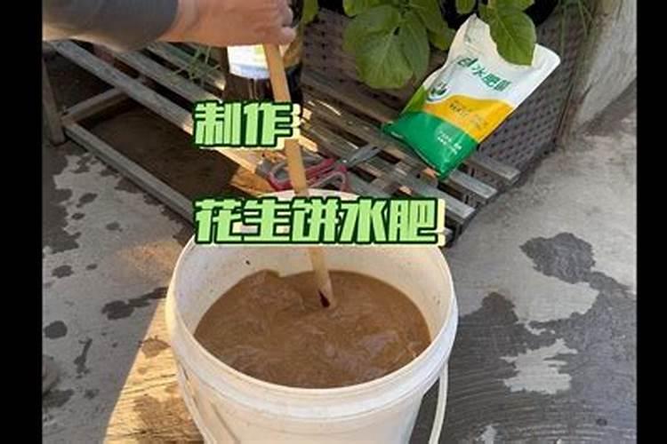 蔬菜晚上施肥好还是早上施肥好(种菜什么时候施肥好)