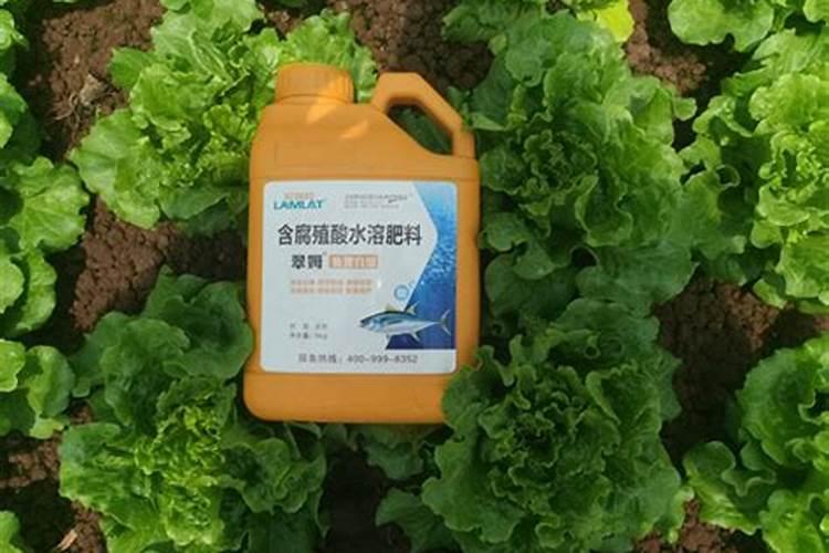 水溶肥是什么肥料