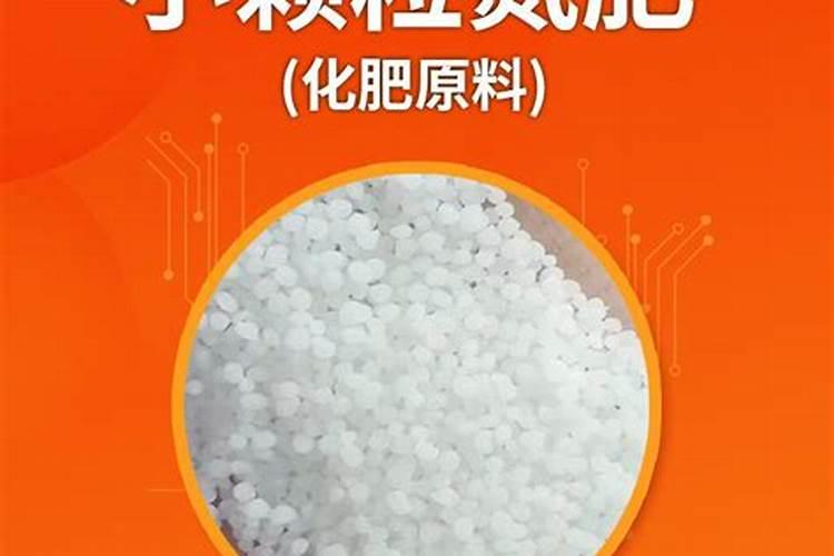 茶菊施什么肥最好