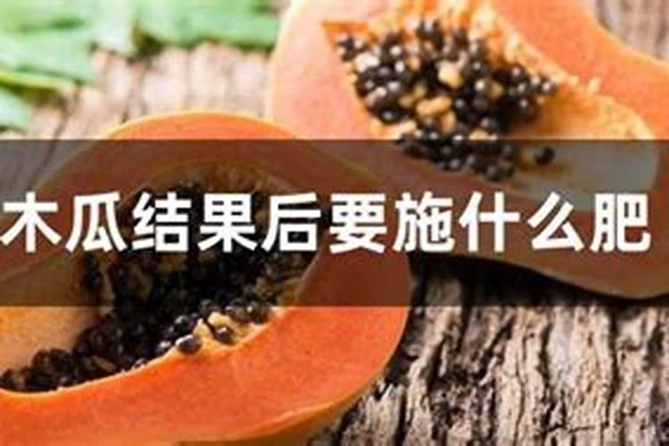 种木瓜施什么肥