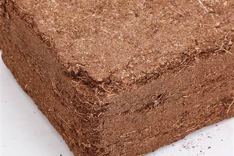 鱼缸水体发白的原因都有什么啊？