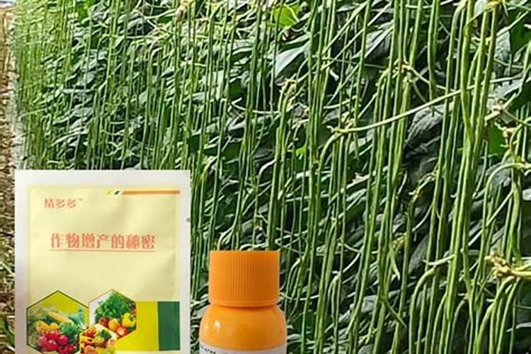 一盆花放了20粒复合肥会怎样