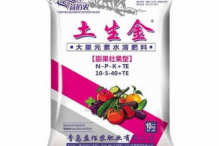 月季烂根怎么处理