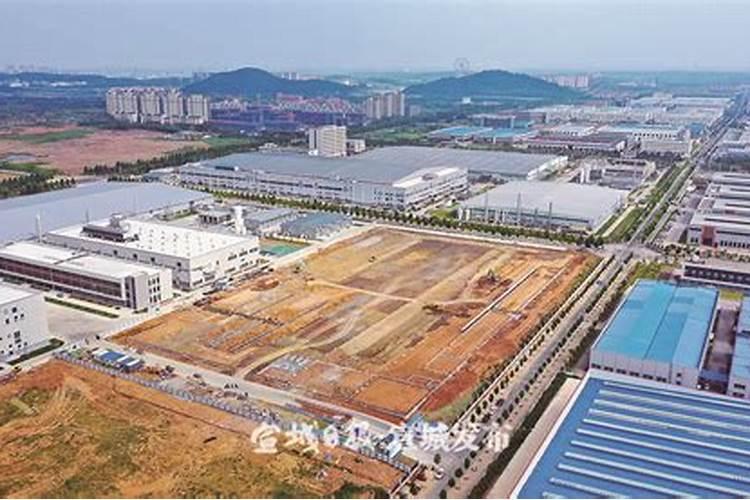 大量元素水溶肥哪个厂家好？