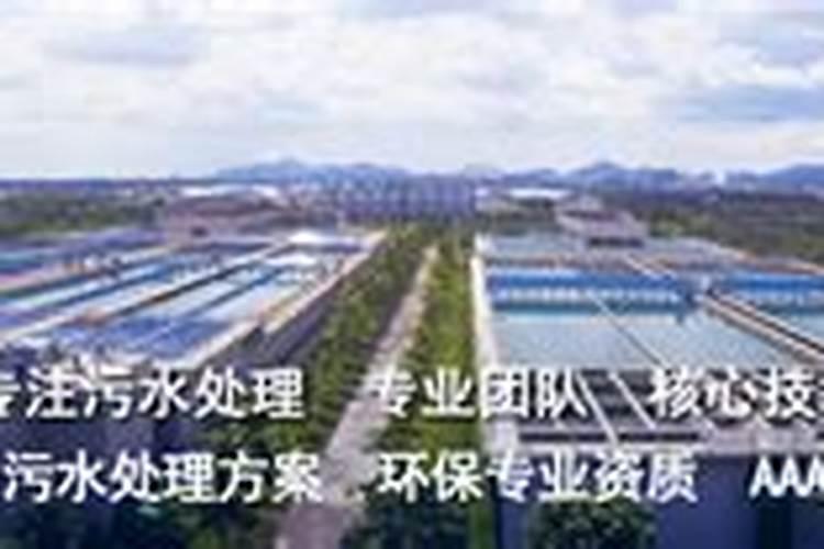 杨树茁壮肥有哪些