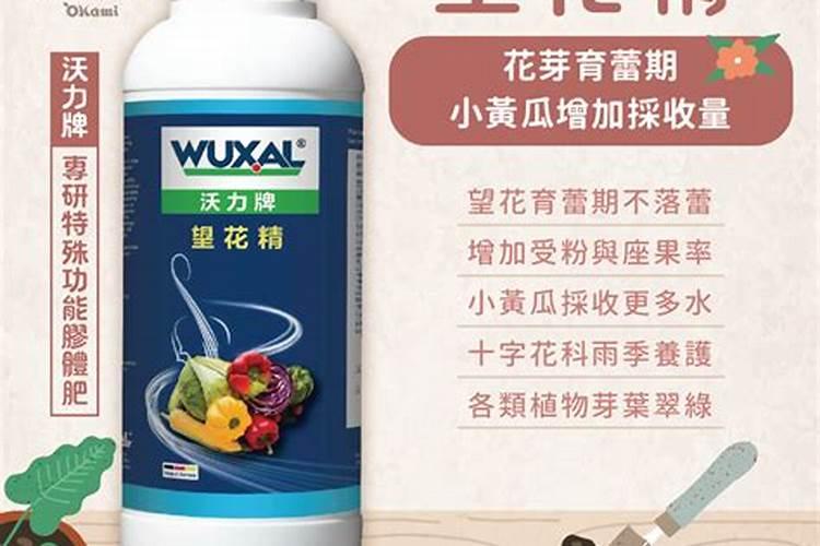 红豆杉怎样养才能养得好