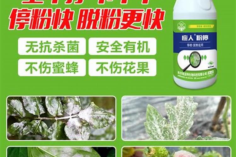 花生开花后多久成熟,施什么肥好