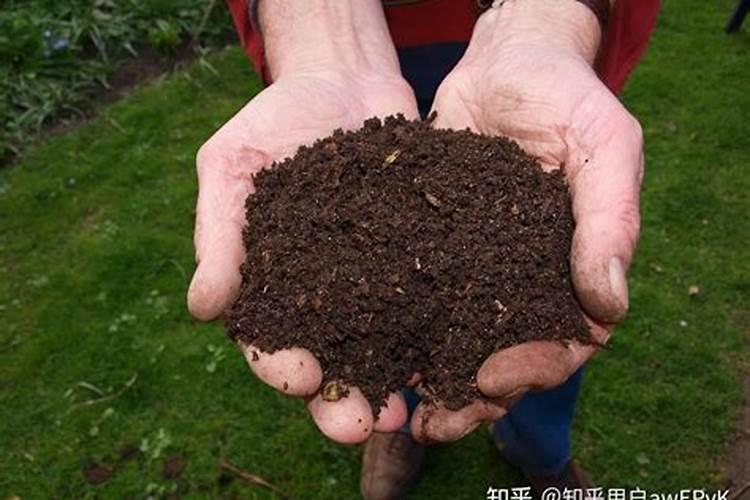 有机肥和无机肥有什么区别？