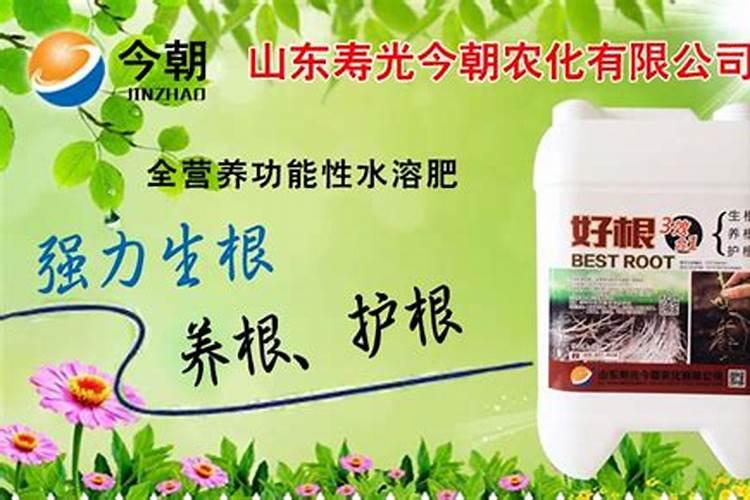 花生开花期要施什么肥 花生开花期怎么施肥