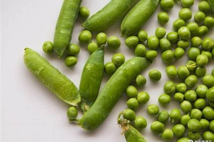 水稻钾肥什么时候施 水稻什么时候施钾肥