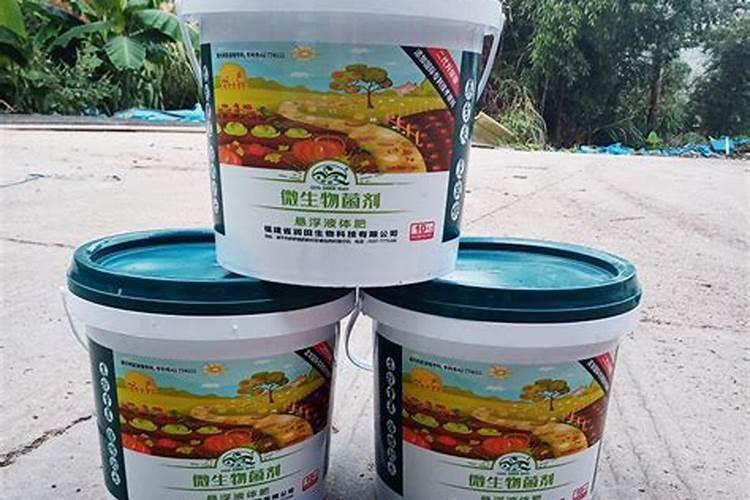 植物施钾肥应间隔多久 植物施钾肥的最佳时间间隔是多久？