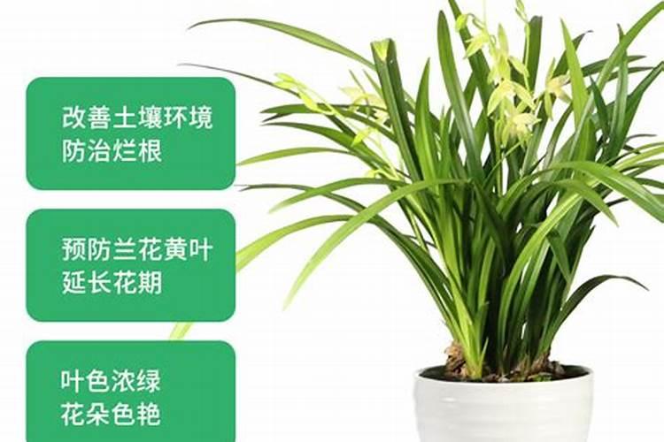怎么选择一款好的水溶肥