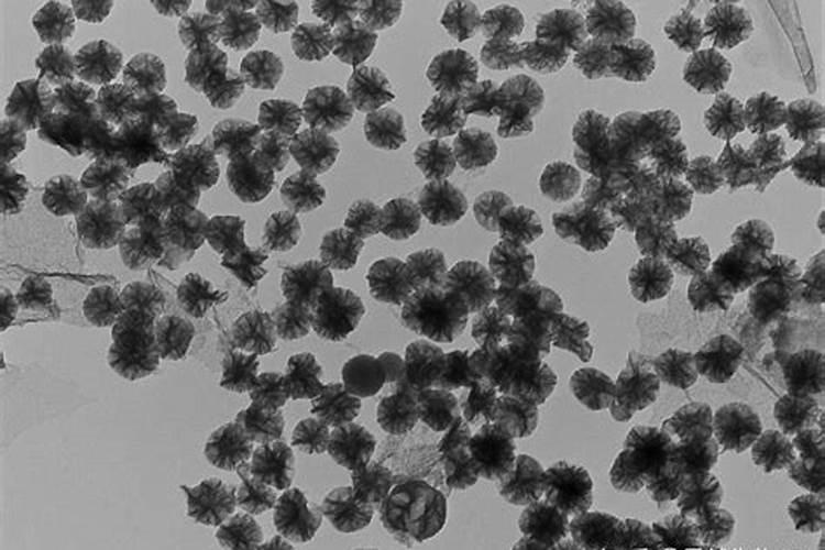 用了这么长时间的氮肥你知道它的作用有哪些吗？