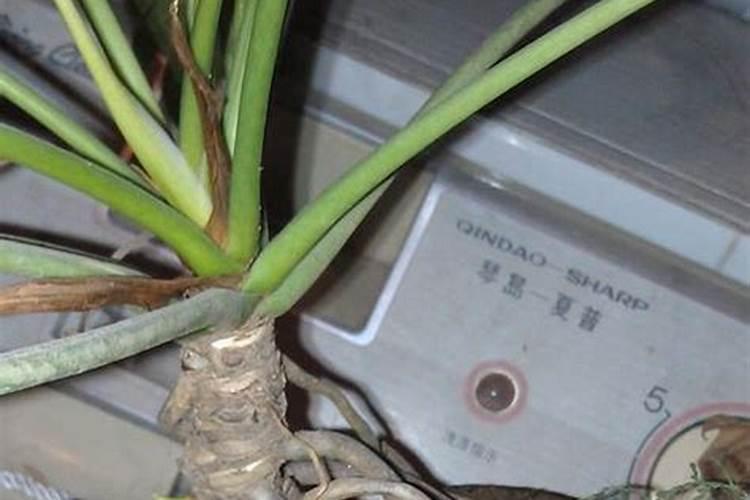 尿素磷肥钾肥复合肥的区别