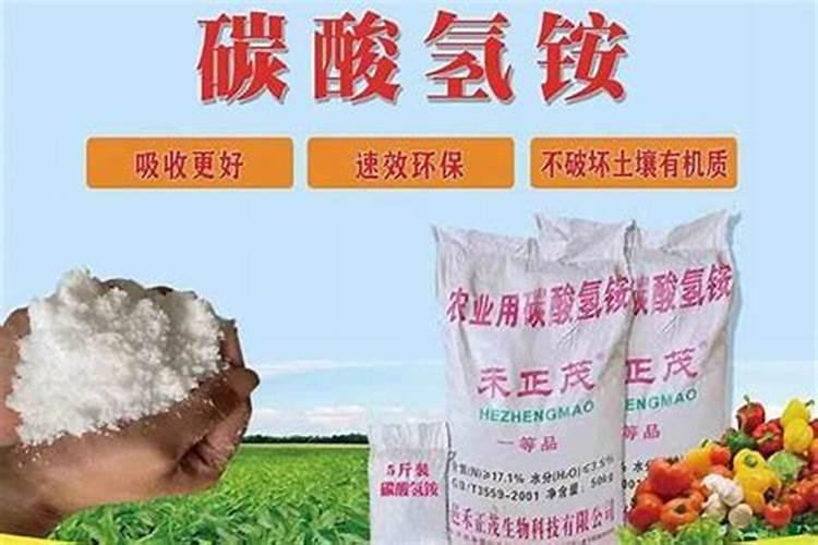 鱼腥草的高产施肥技巧 鱼腥草应该怎么种植