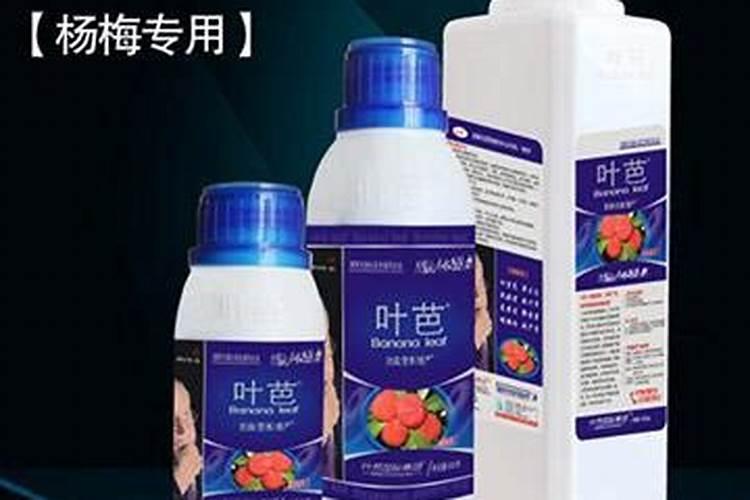 叶芭的叶芭功效