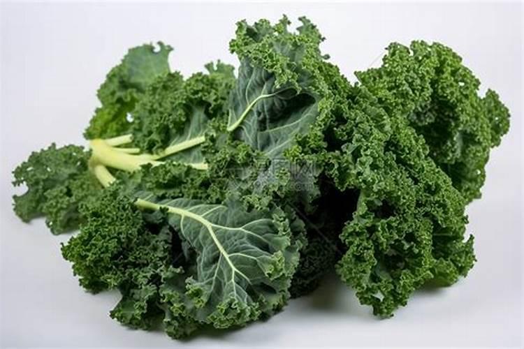 大面积种甘蓝前如何整地施肥