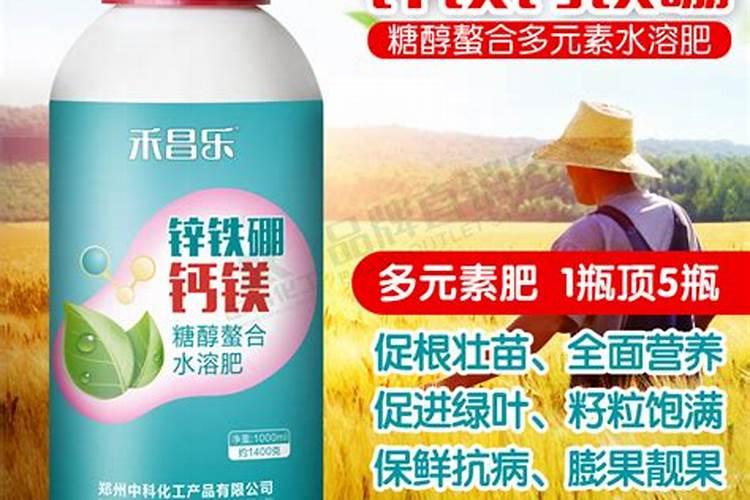 小番茄结果 后多久浇一次水？一次浇多少水？