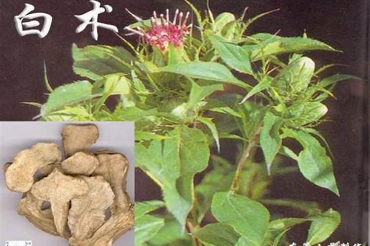 芒果花期打什么杀菌药？